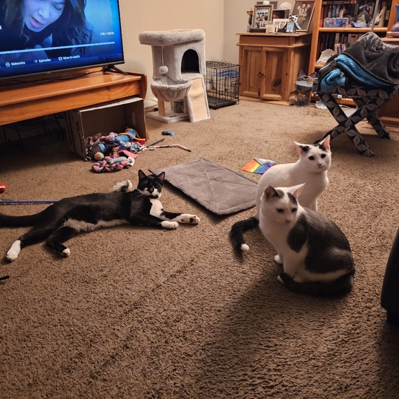 Meet your Posher, Ellen - Picture 5 of 5